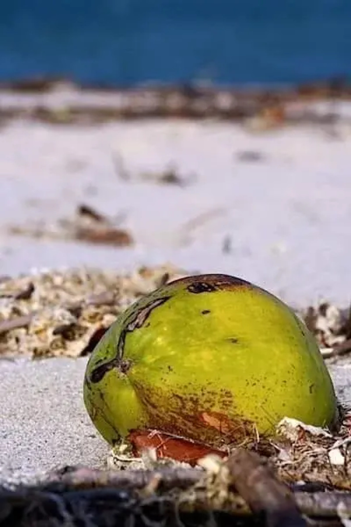 Pousada Da Barra