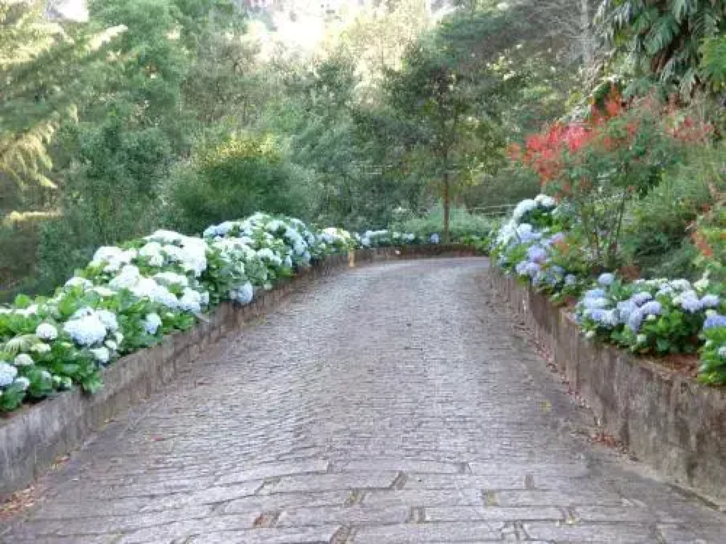 Chalé da Pedra