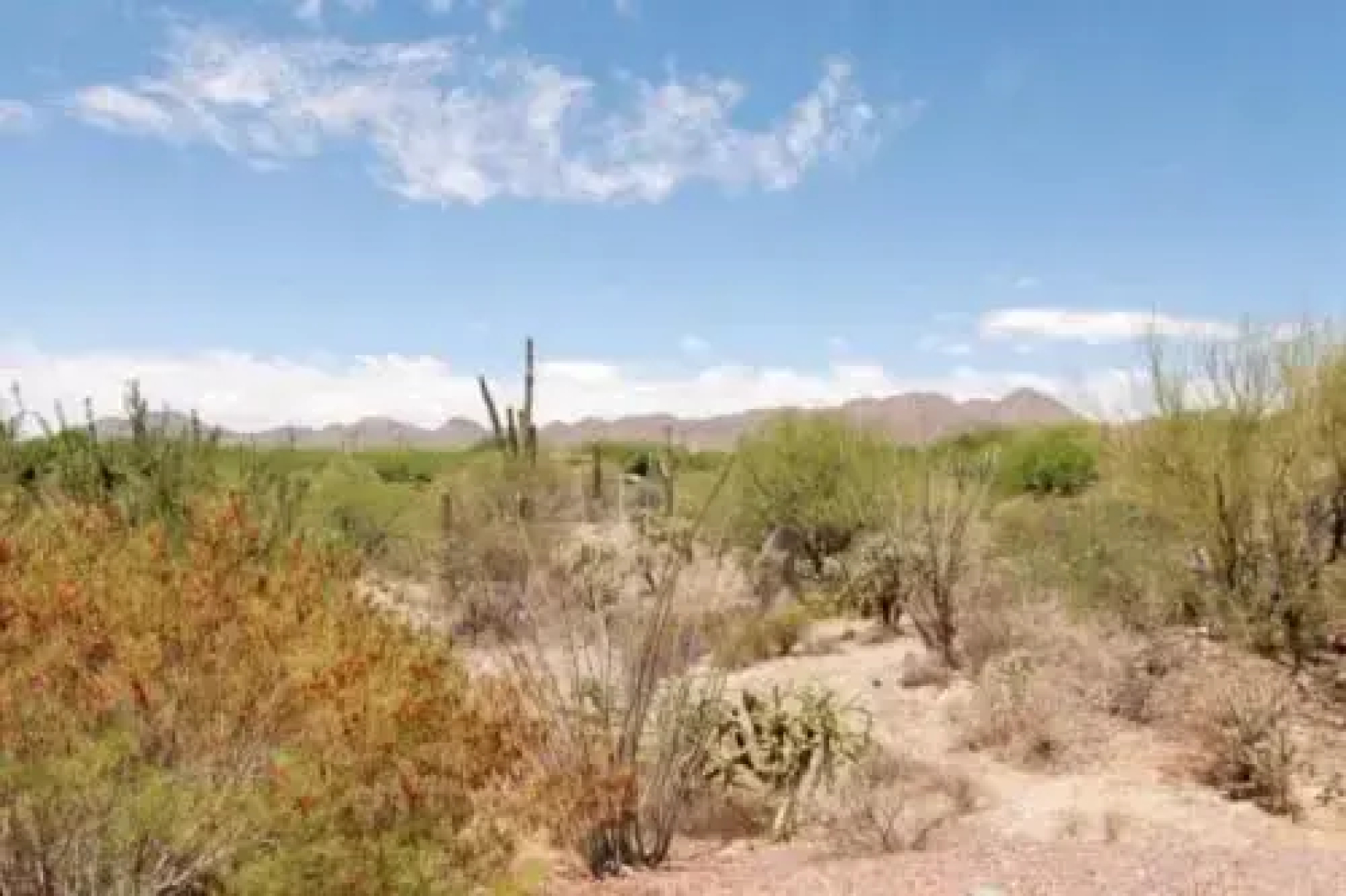 Rancho Vistoso #114c