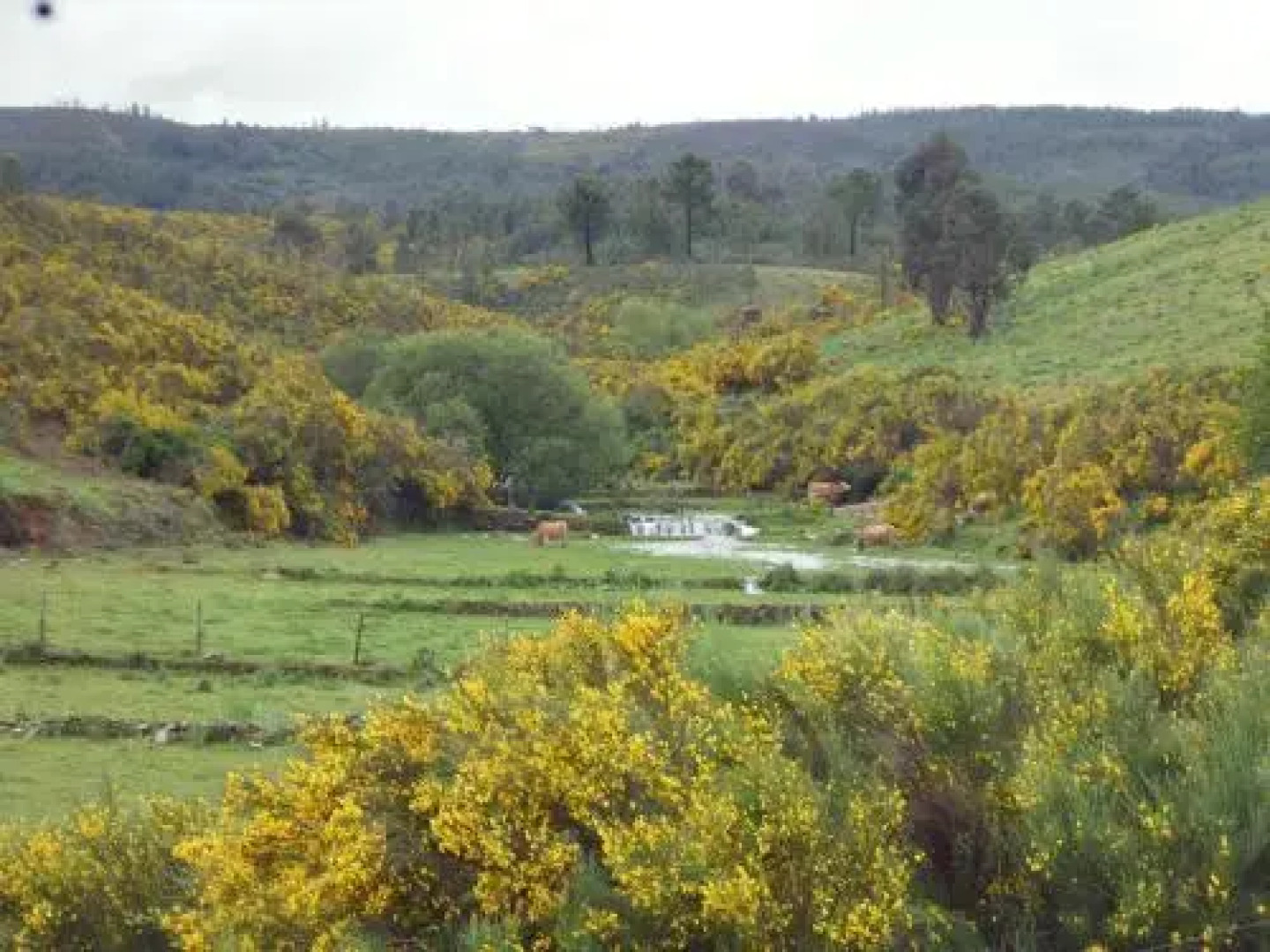 Quinta do Favacal - Agro-turismo - Serra da Estrela