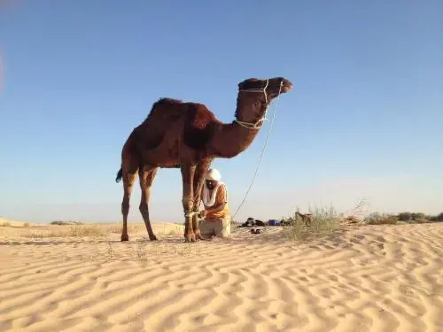 Maison Proche De Desert