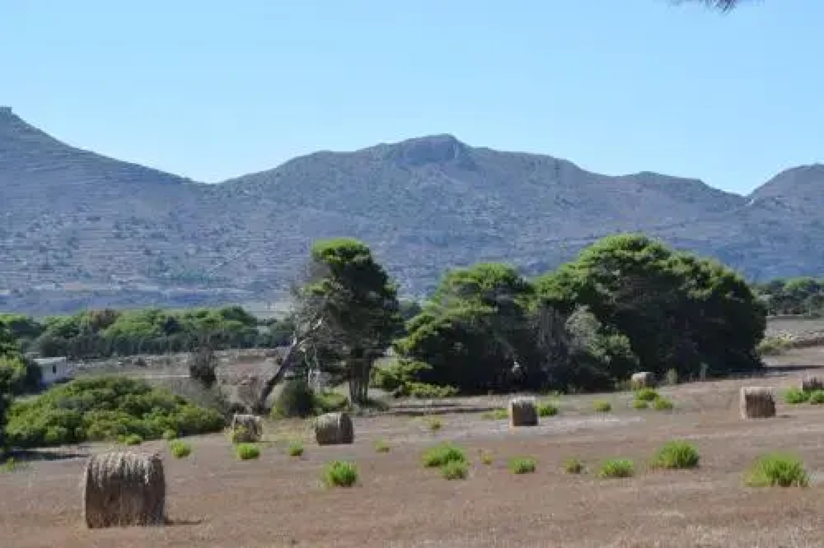 Appartamenti la Pinetina di Favignana