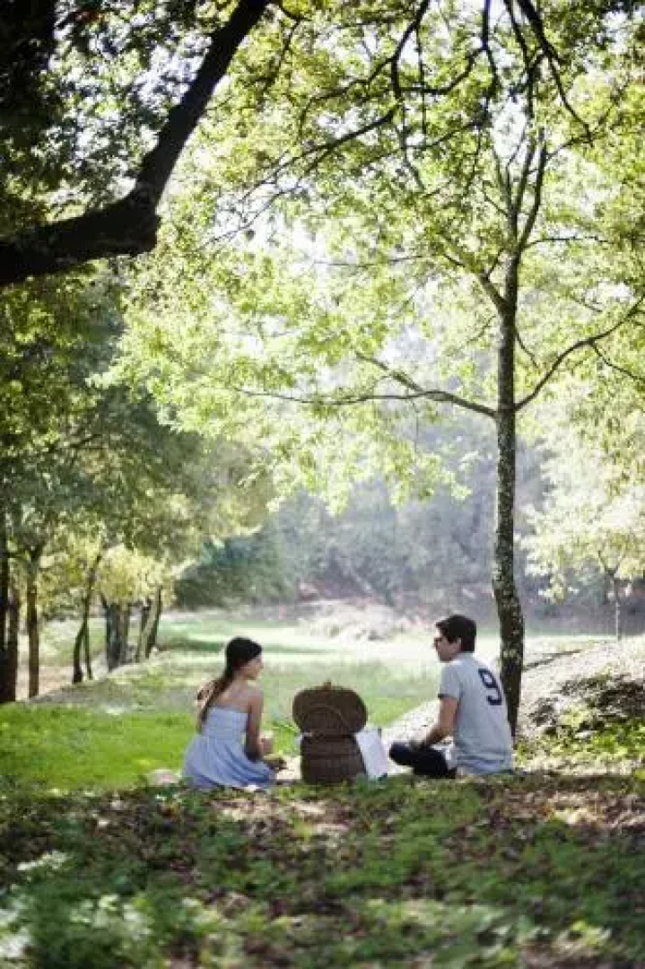Quinta de Freixieiro