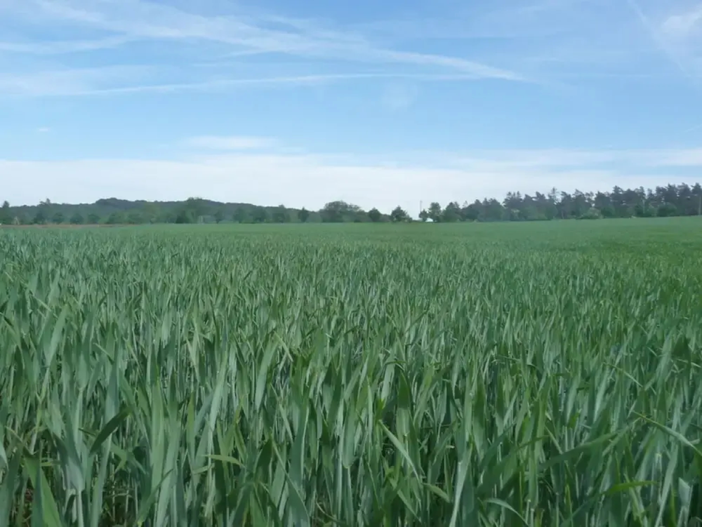 Apartments Boddenhof Stedar