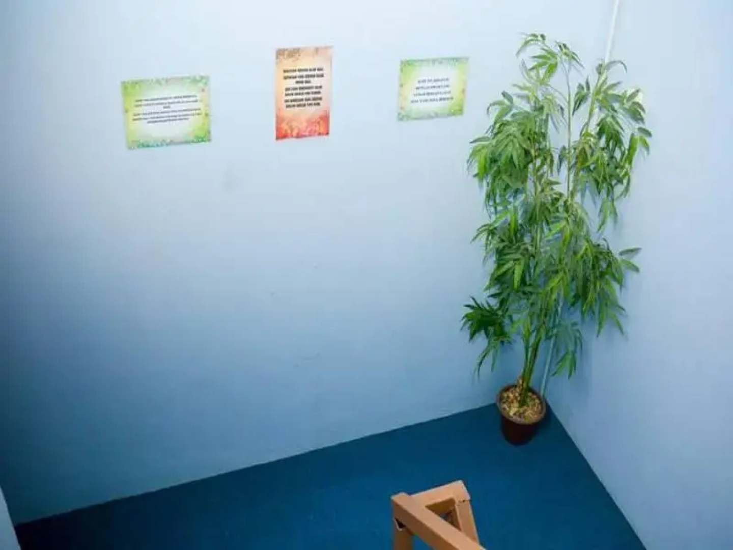 Ppkksk Hostel