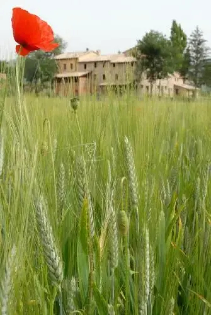 Agriturismo Verziere