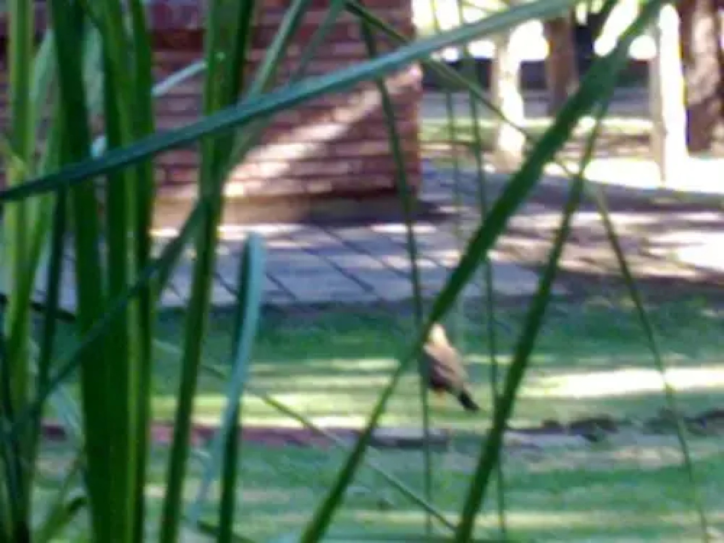 Cabañas Del Pastizal