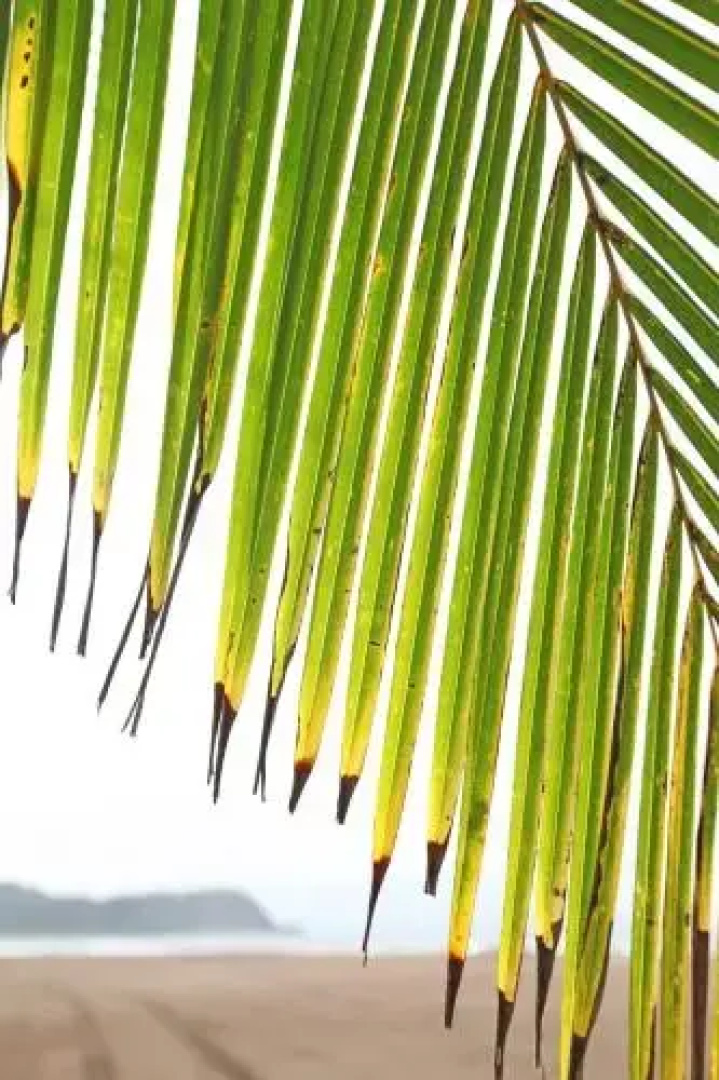Best in Jaco Condos at Bahia Encantada