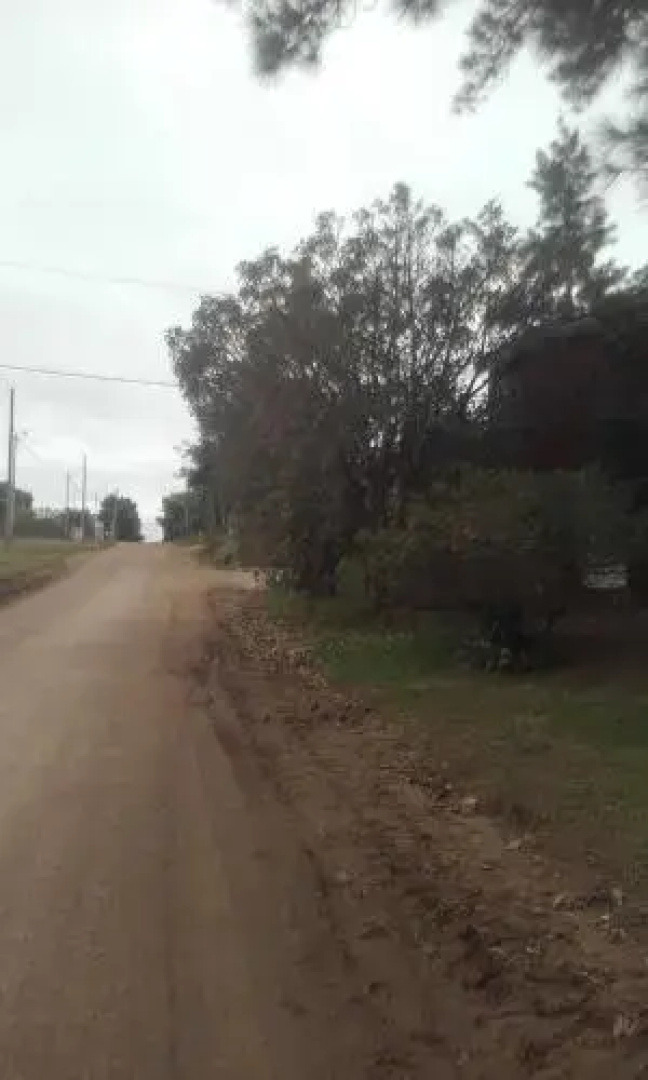 La Casa de los Pinos