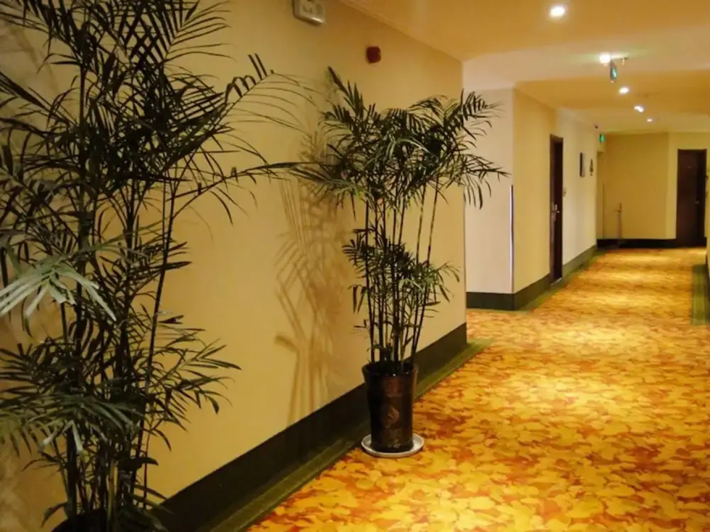 GreenTree Inn Bozhou Guoyang Shengli Road Fuyang Commercial Building Express Hotel