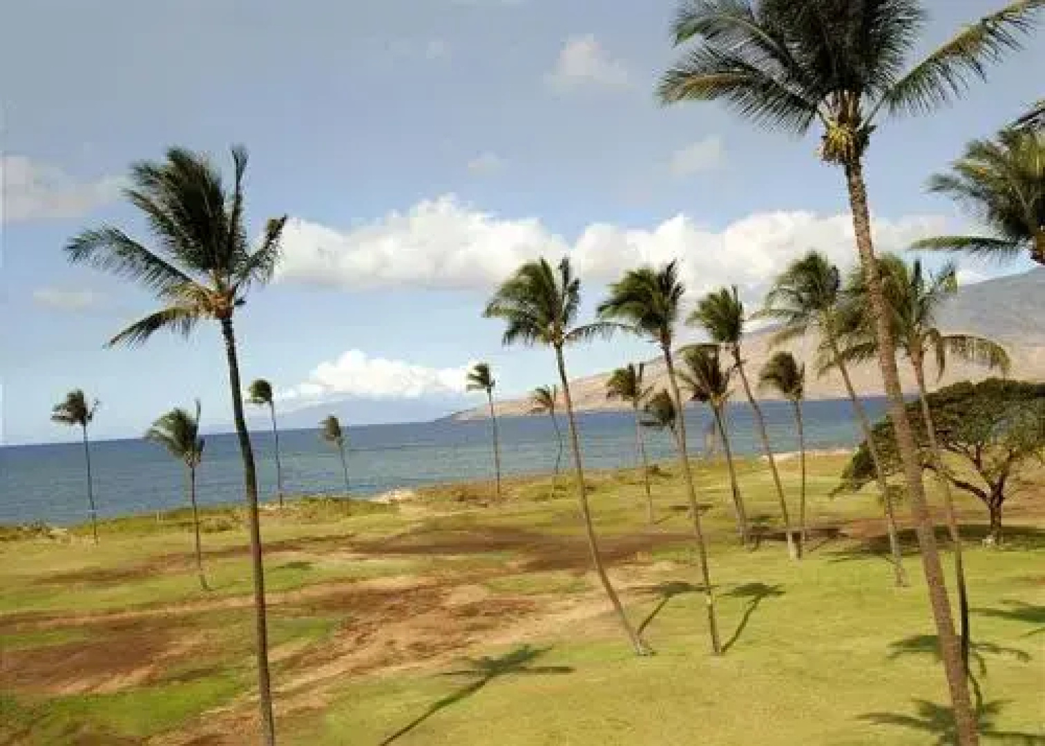 Kauhale Makai 434, 2 Bedroom, 2 Bathroom Oceanfront Condo, Pool