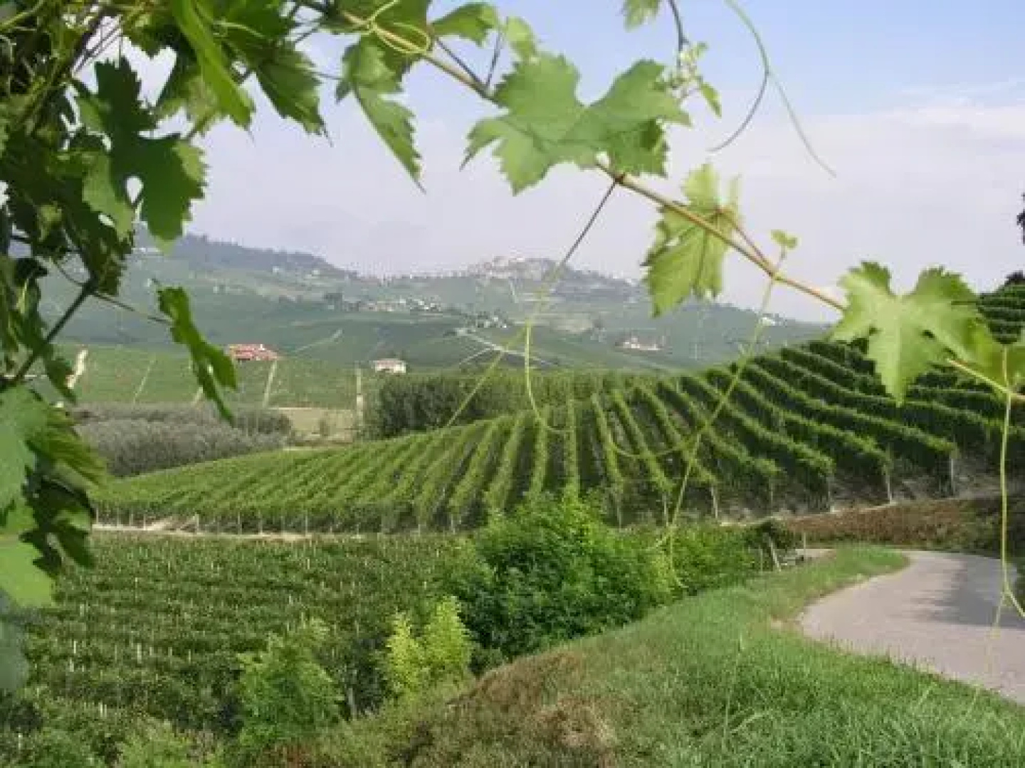 Cascina Sciulun