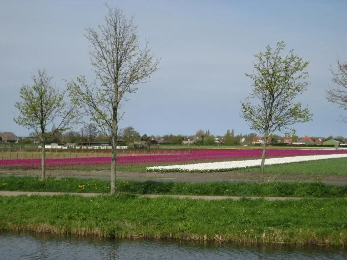 B&B Janny - Medemblik