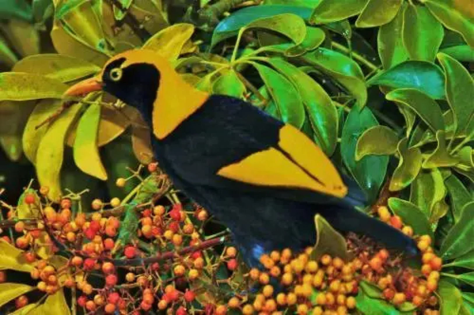 Yarrahapinni Homestead