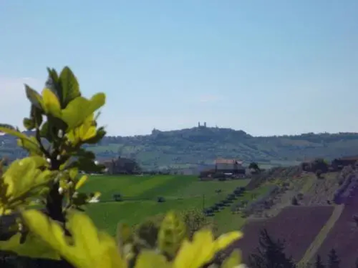 Il Bardo