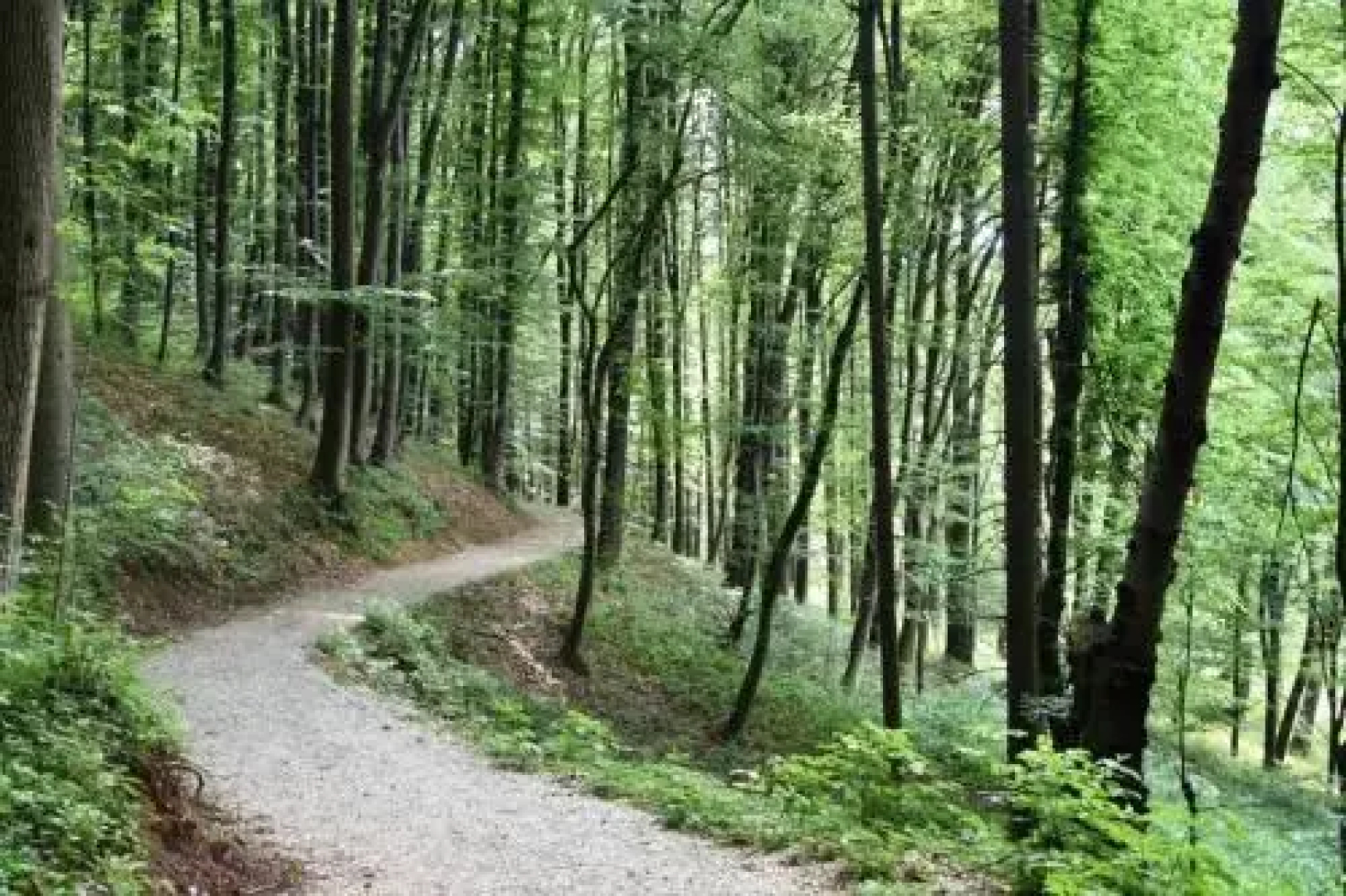 Apartman Nikolic,Banja Vrucica,Teslic