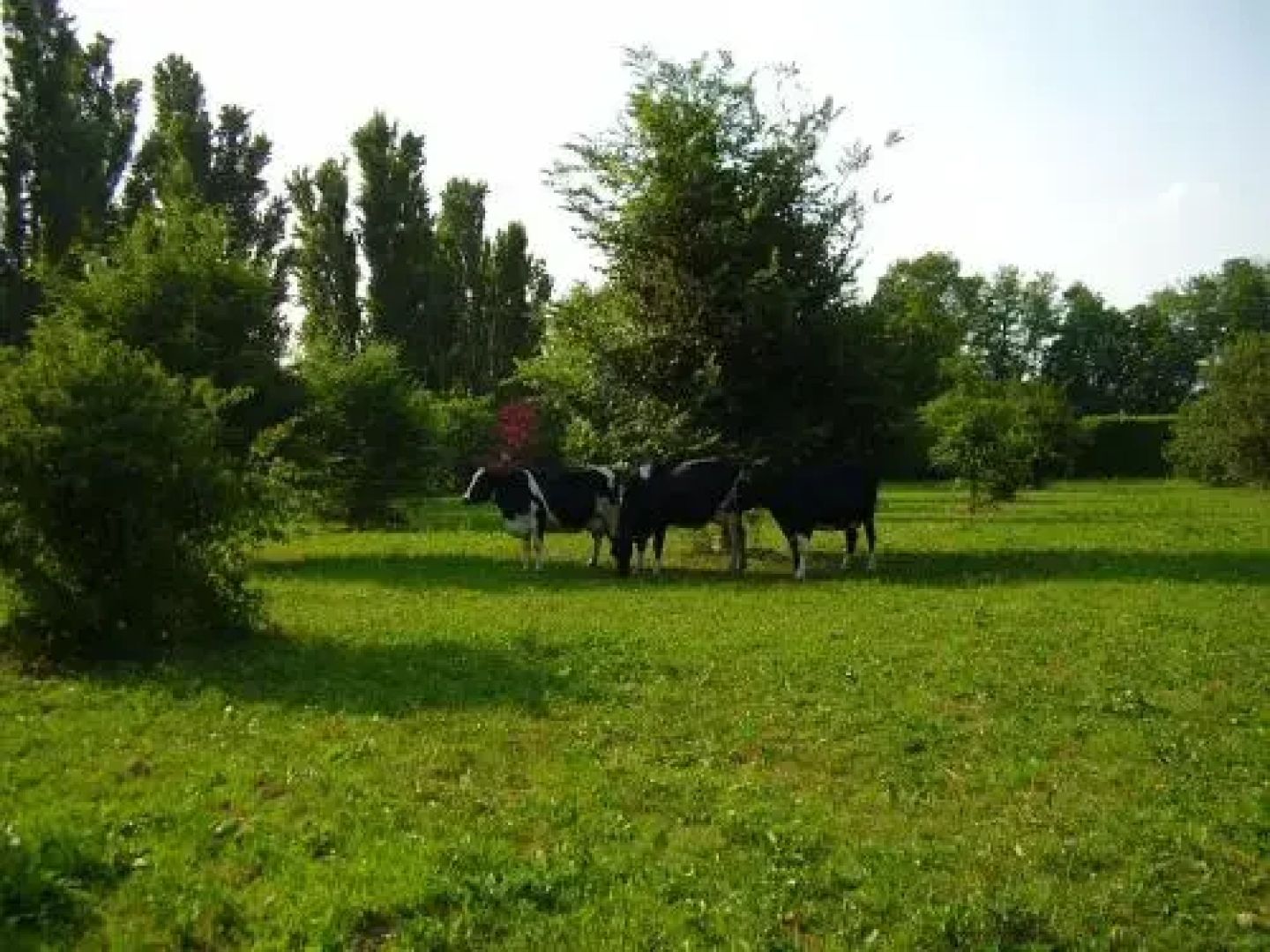 Agriturismo B&B Cascina Isola Maria