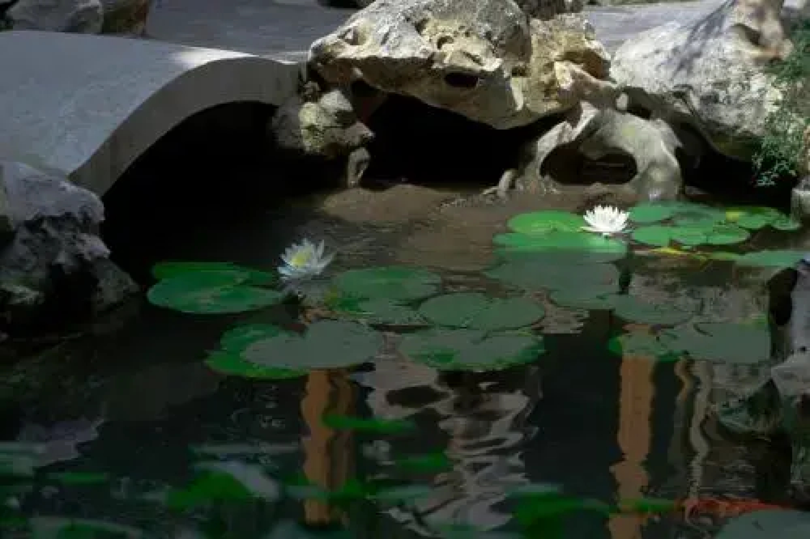 Xiao Yuaner Bed and Breakfast