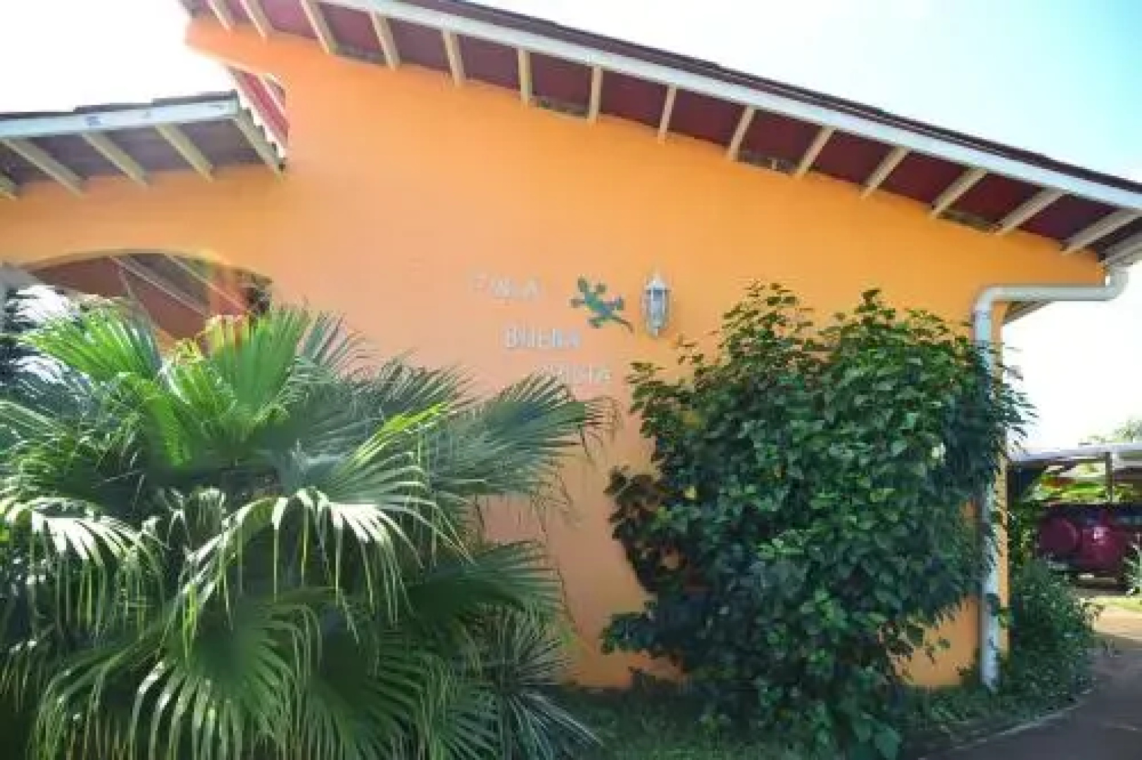 Finca Buena Vista