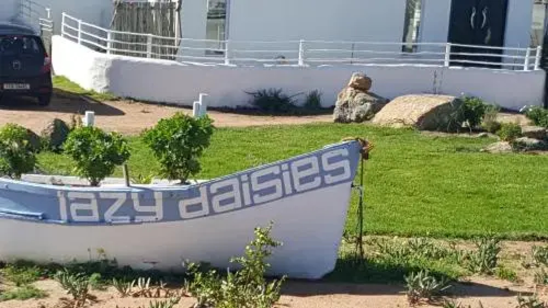 The Lazy Daisies