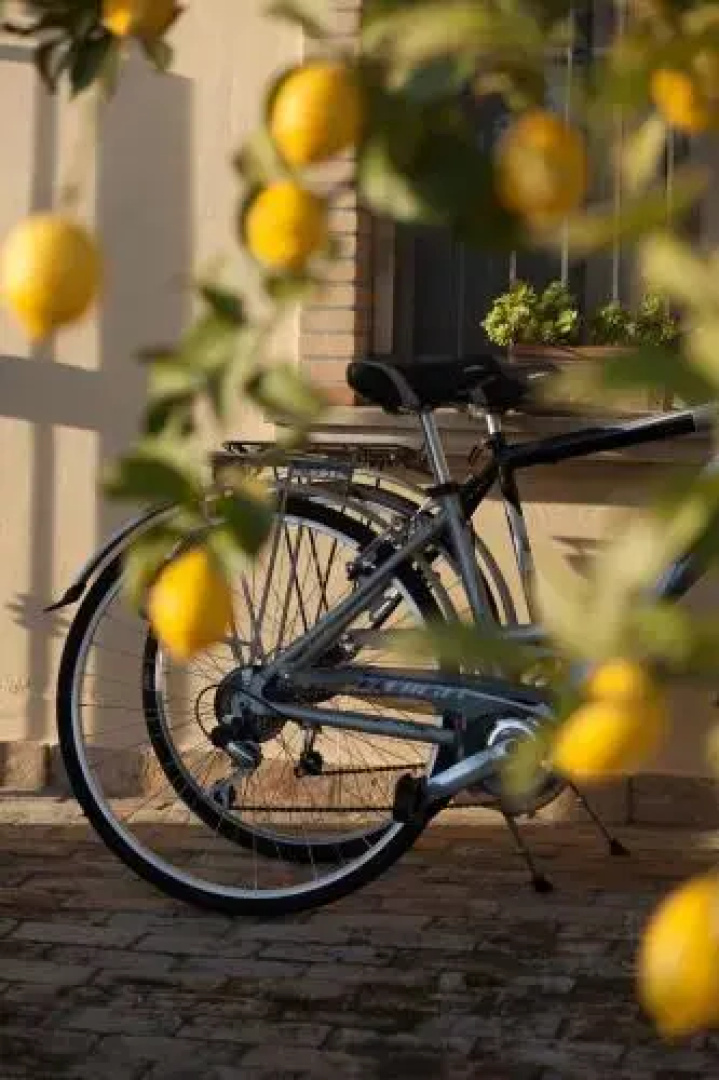 B&B Villa Casone