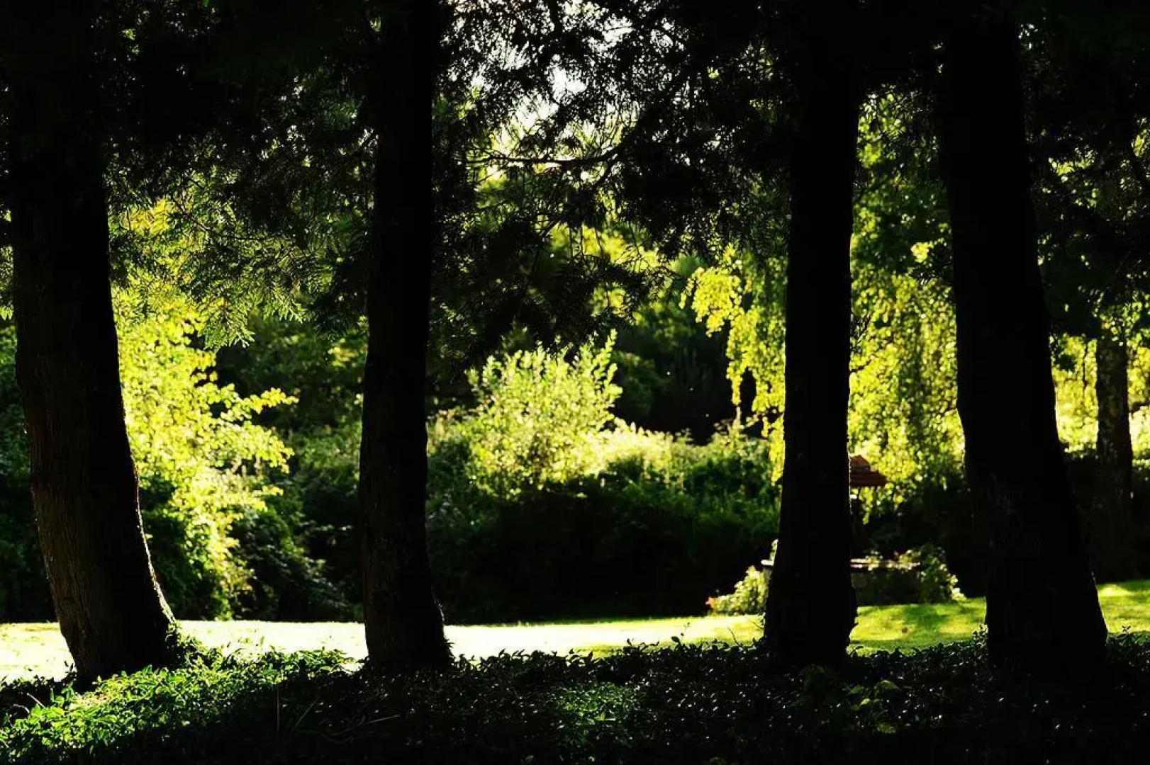 Kimaro Farmhouse Tentes Safari