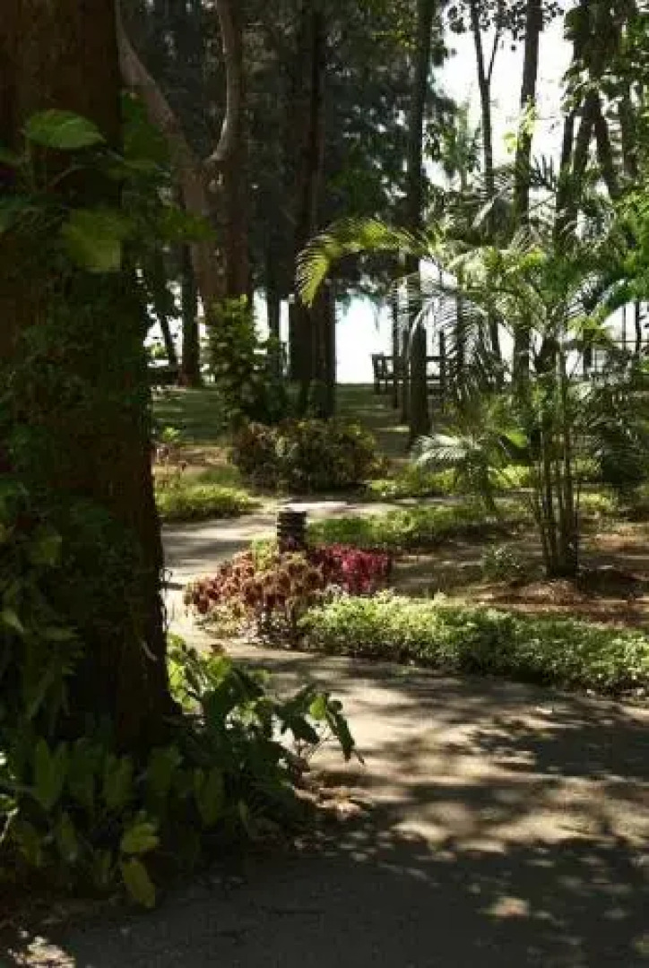 Sea Village Beach Front