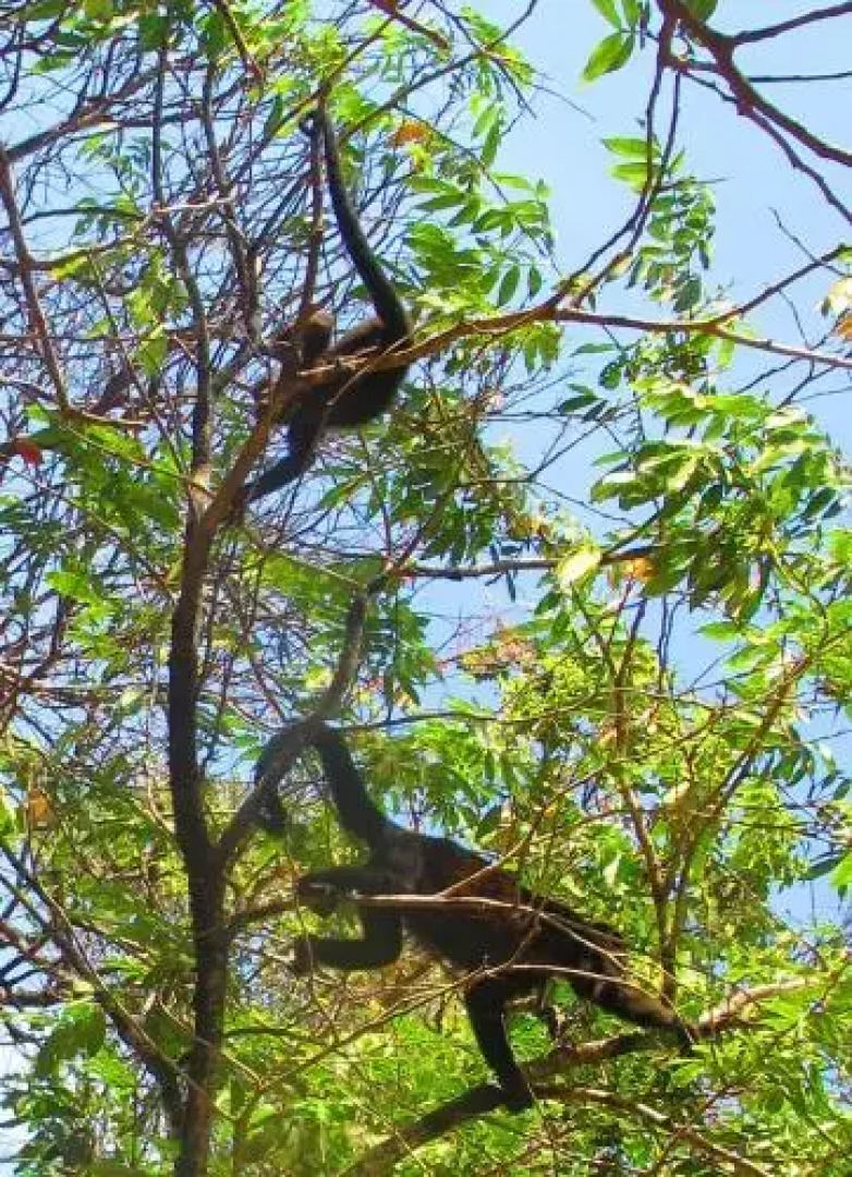 Casa Tranquilo Hostel