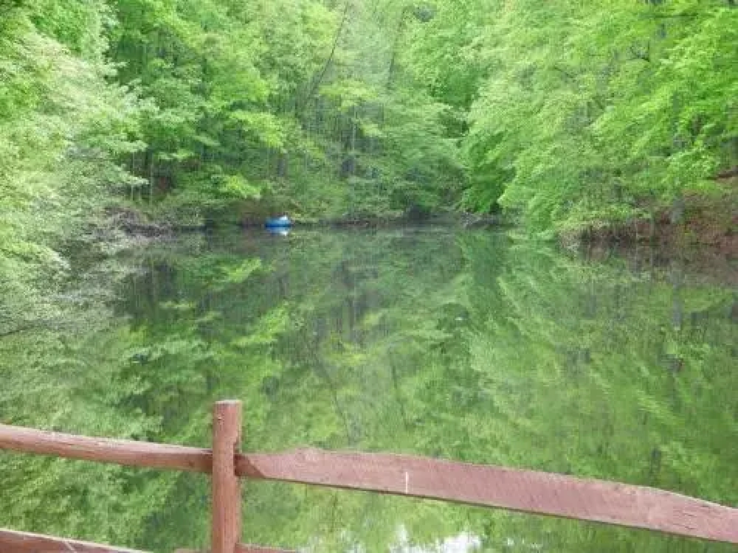 Lake Myers Lakeside Villa 21