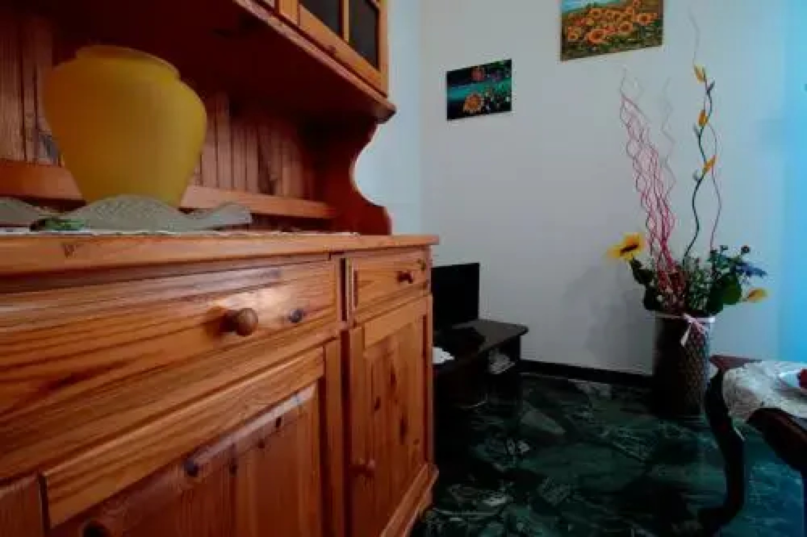 House Argia by Holiday World