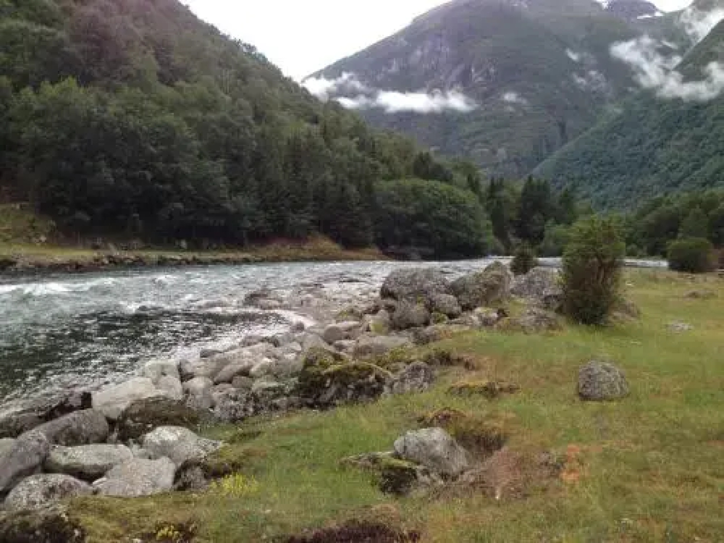 Bjørkum Gard