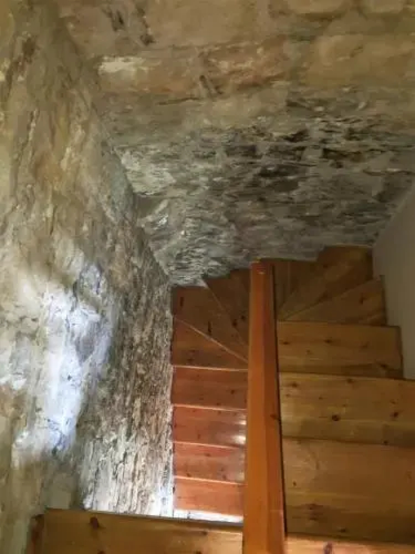 Iolandi House