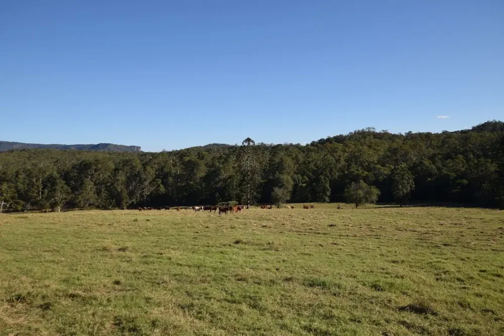 Bunya Creek Farmstay