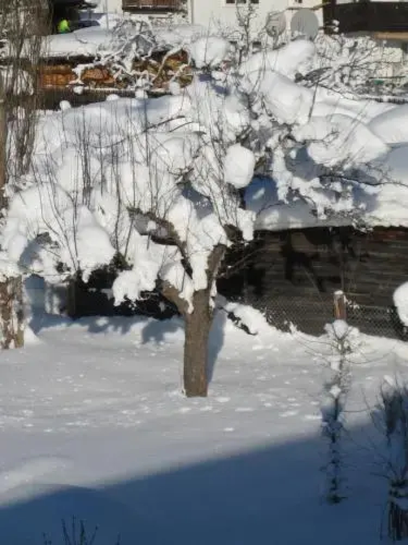 Ferienwohnung Kathrein