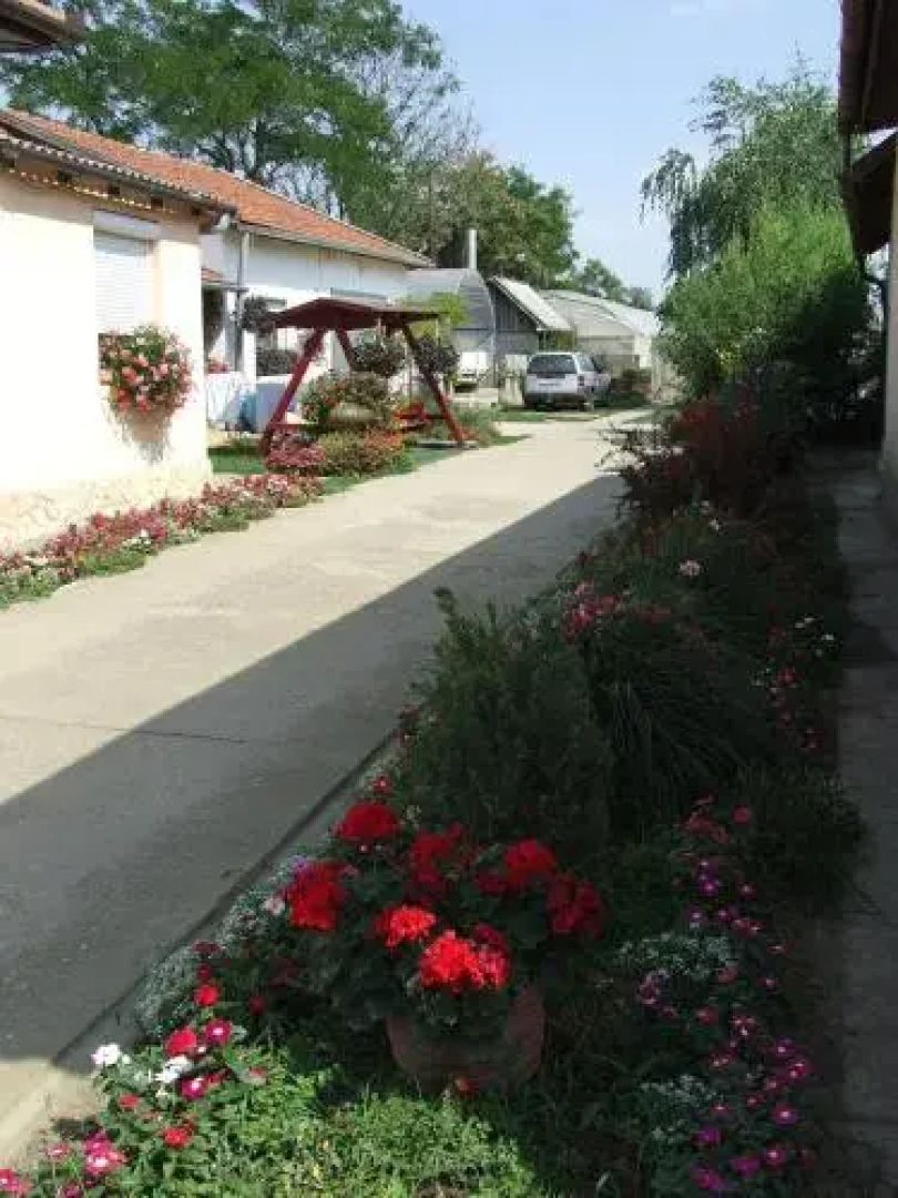 Tiszavirág Vendégház