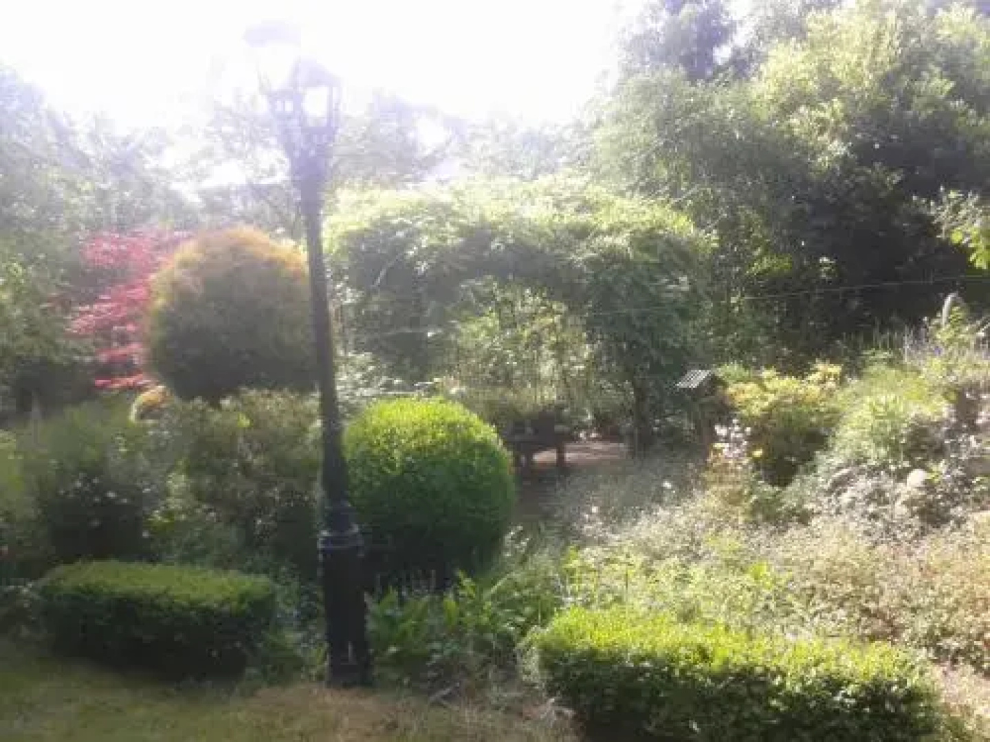 B & B het groene hart