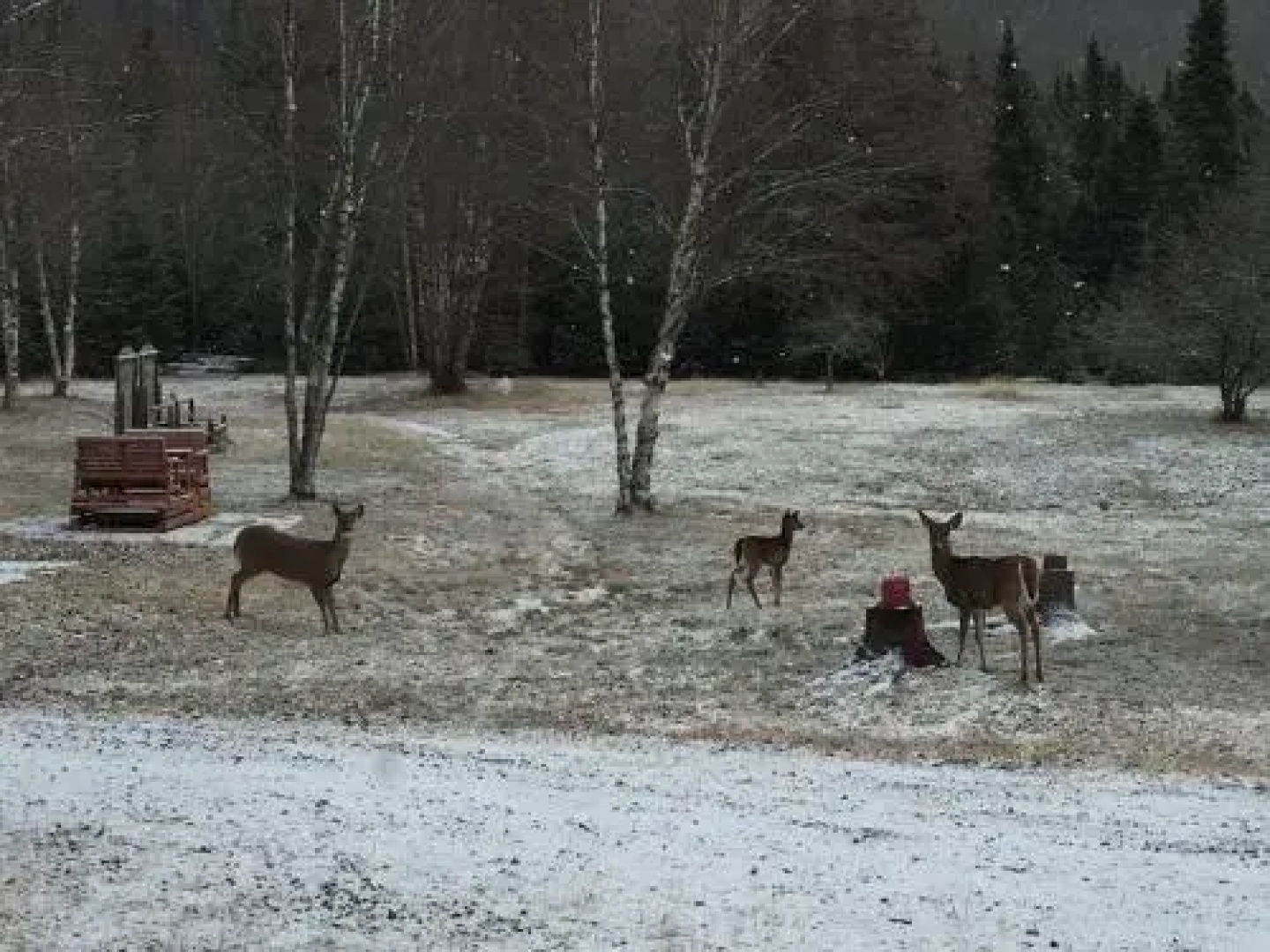 Lodge Nature Laurentides