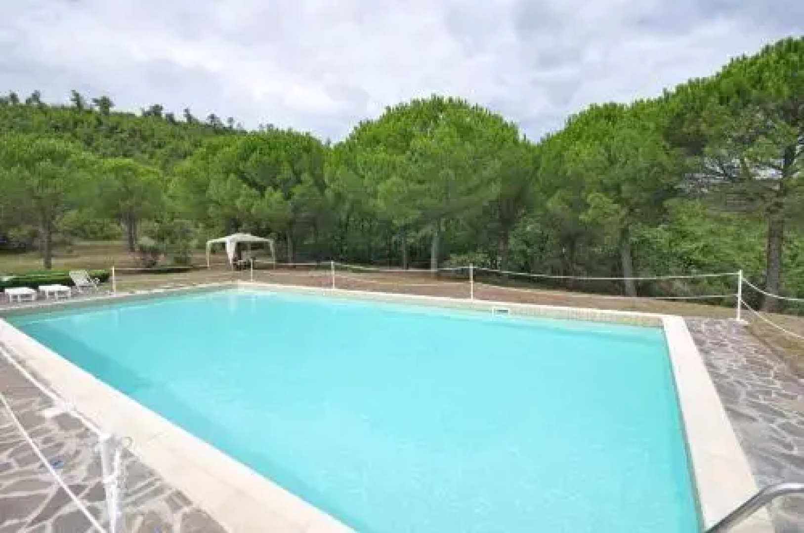 Martino
