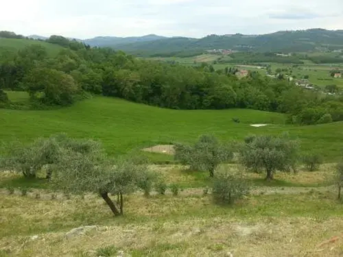 Agriturismo Il Podere