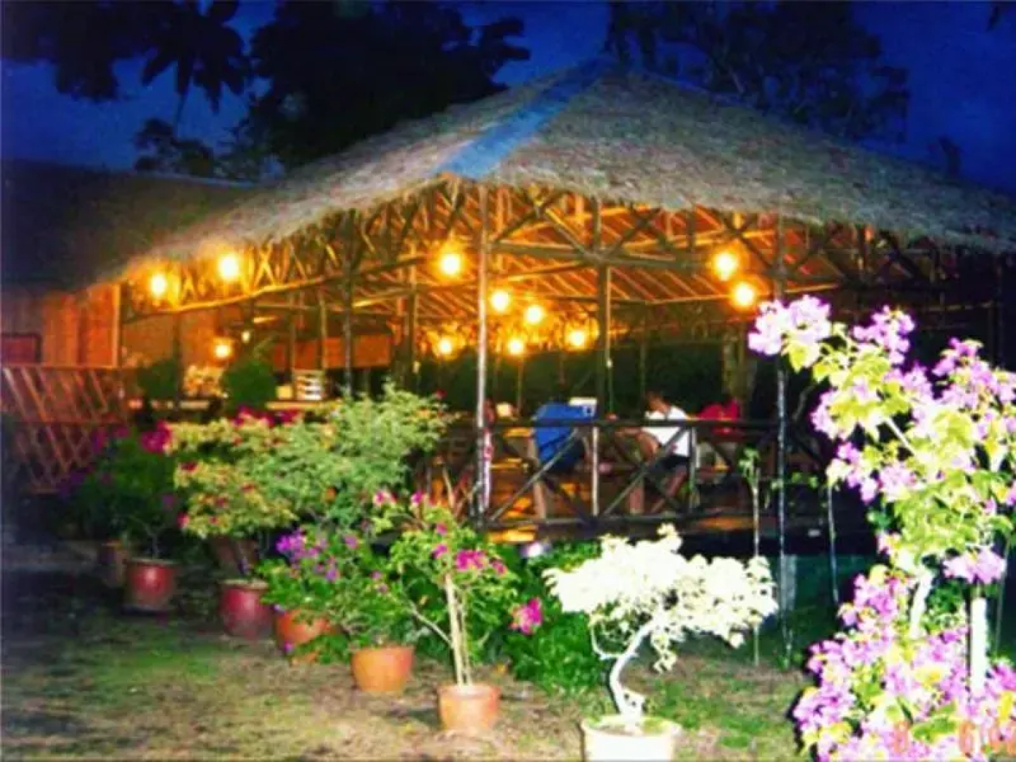 Borneo Proboscis River Lodge