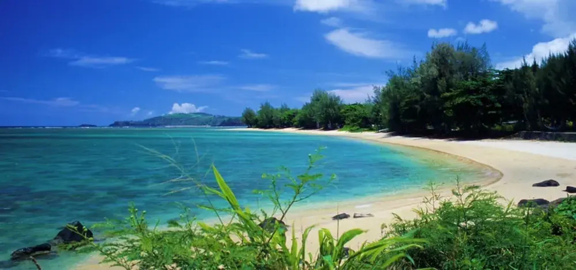 Kamahana 24 by RedAwning