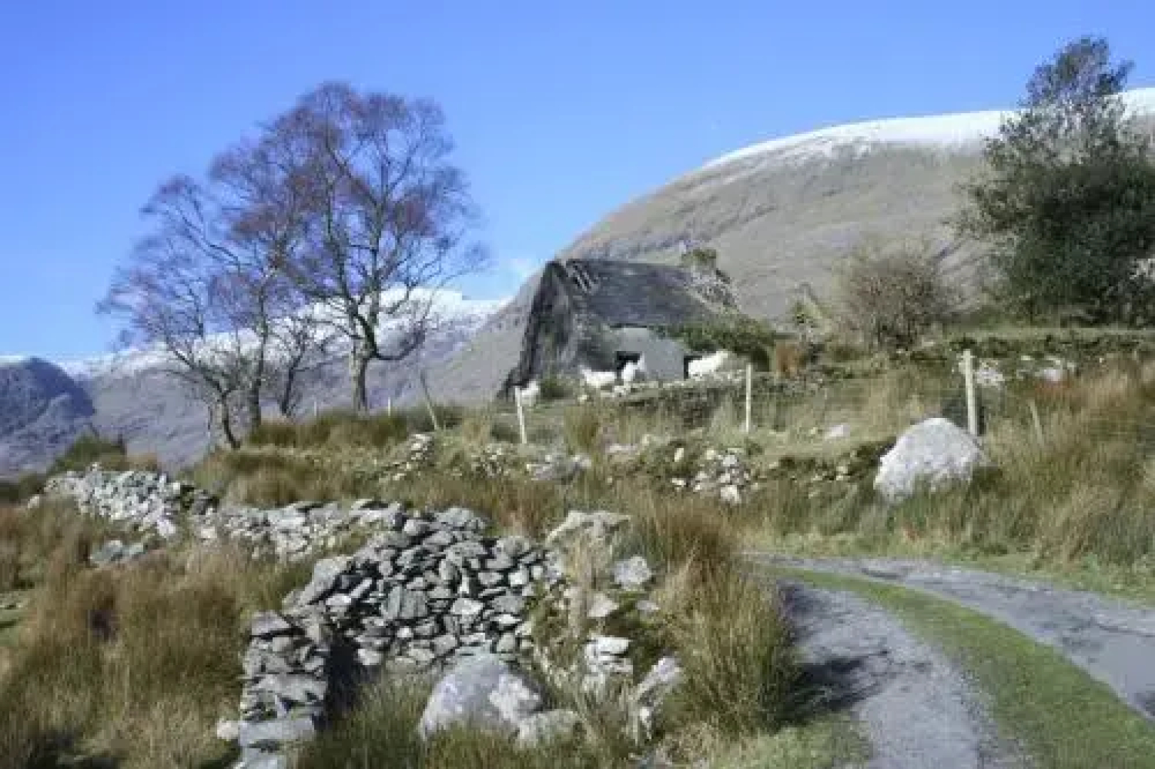 Riverlodge Self Catering