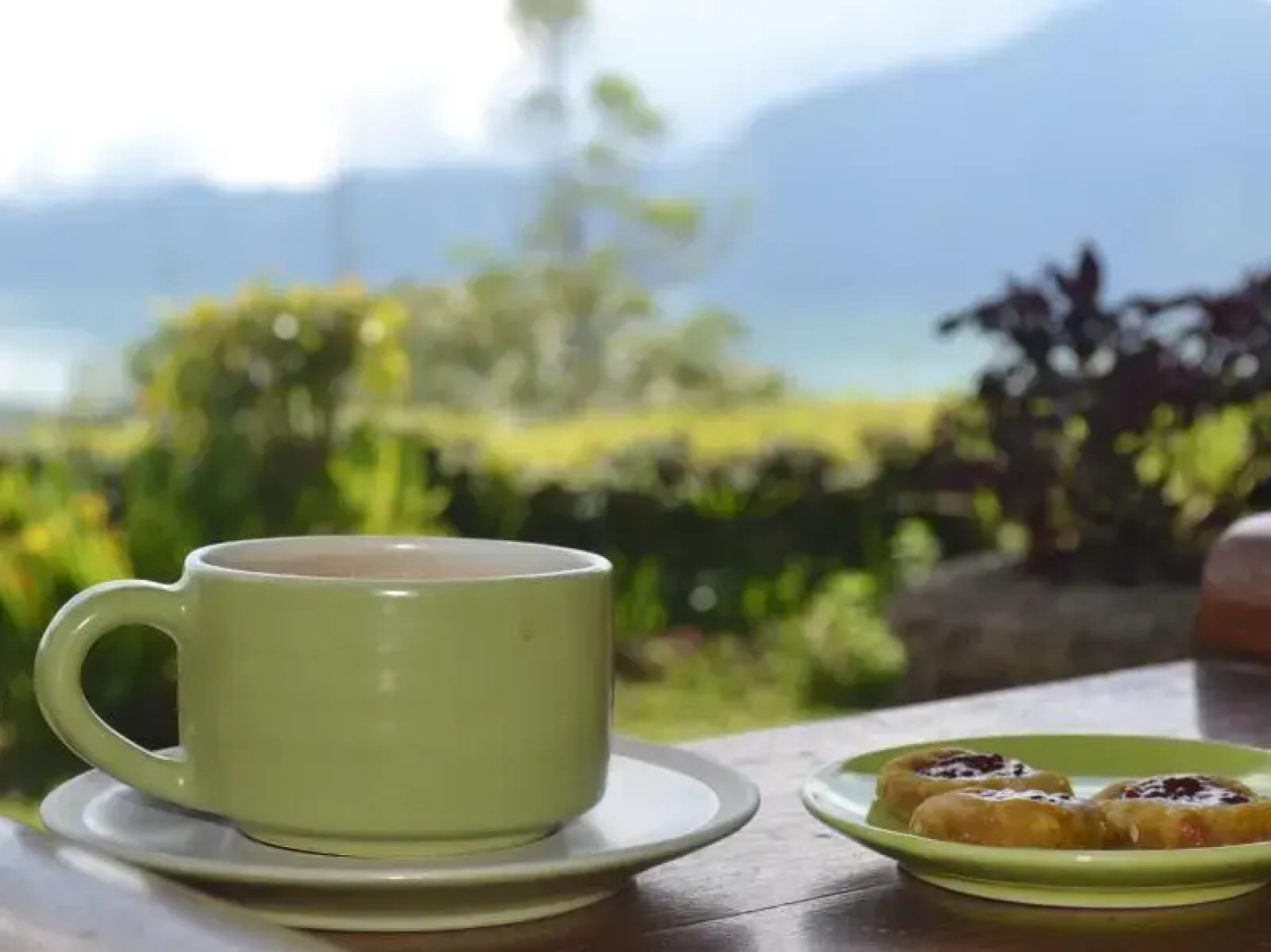 Kintamani Backpackers @ Lakeview