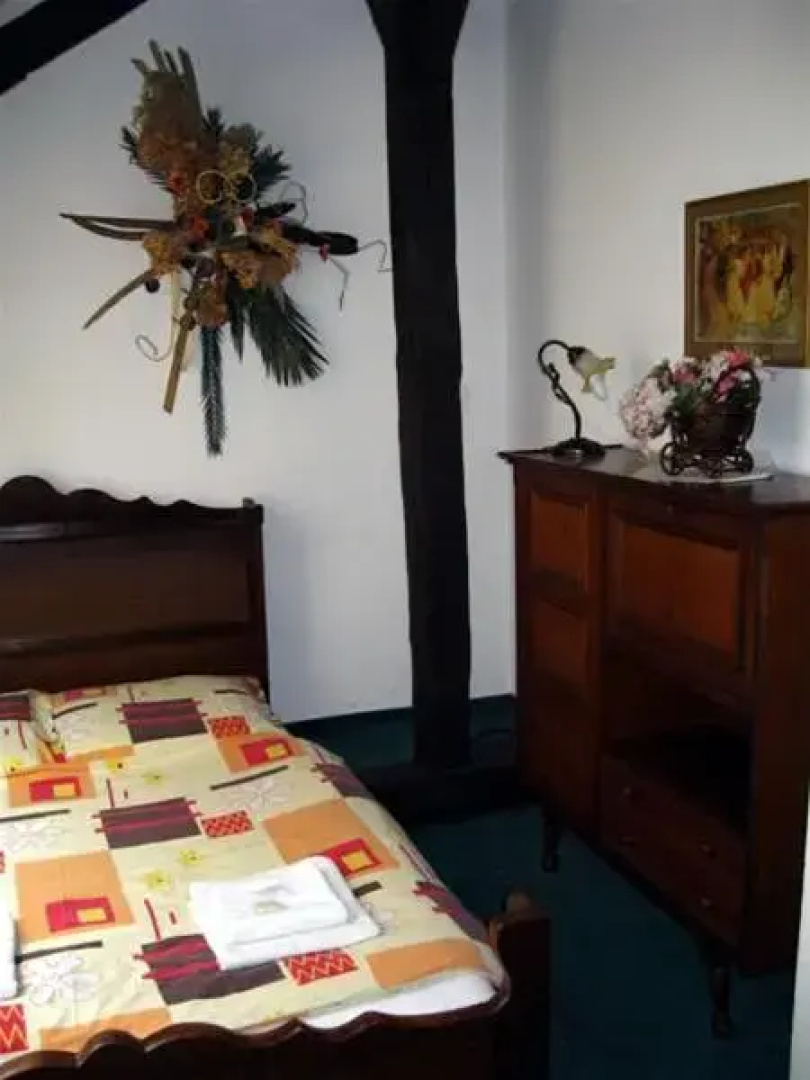Hotel Cesky Dum