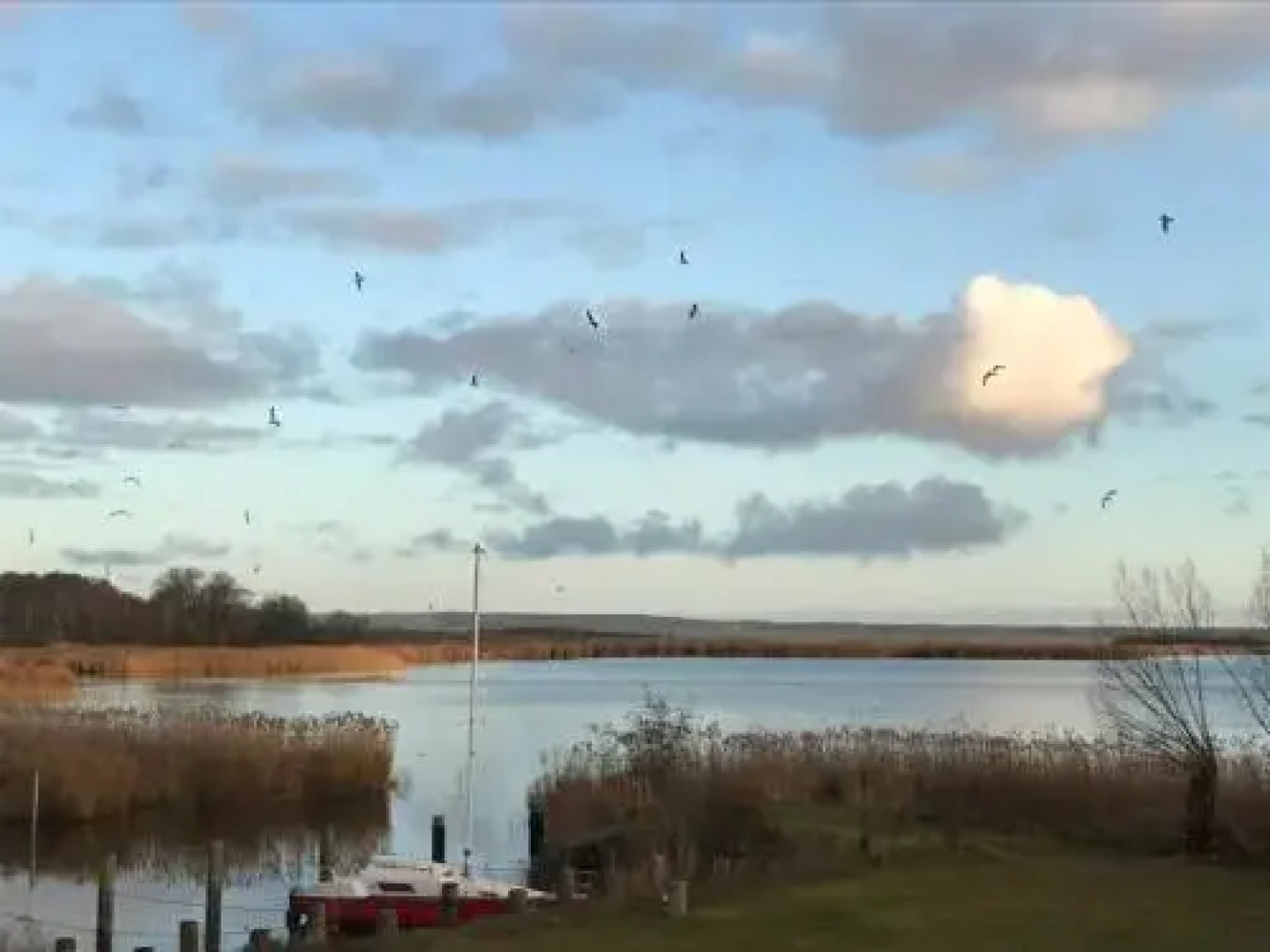 Residenz am Balmer See - FeWo 52