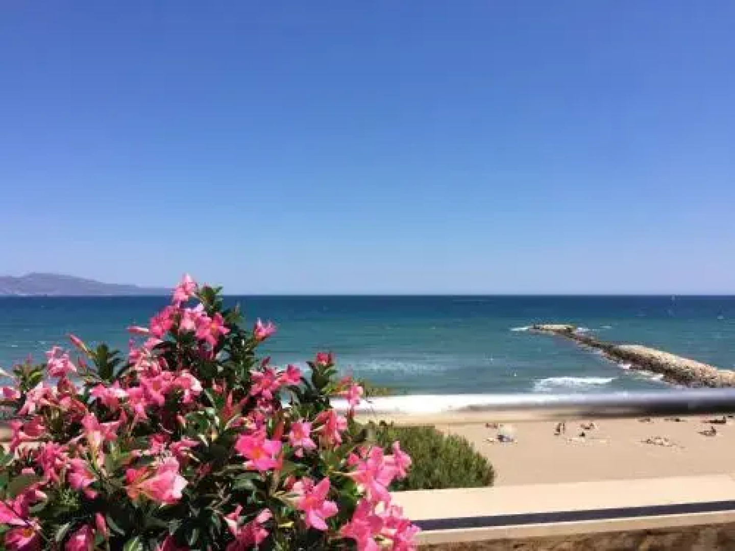 Apartaments La Palmera