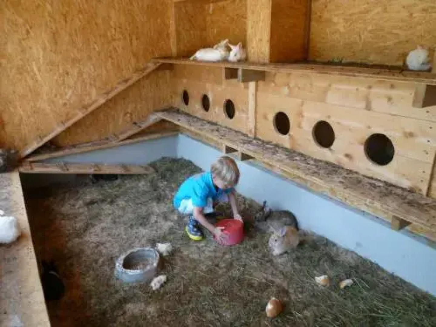 Bodenhof Ferienwohnungen