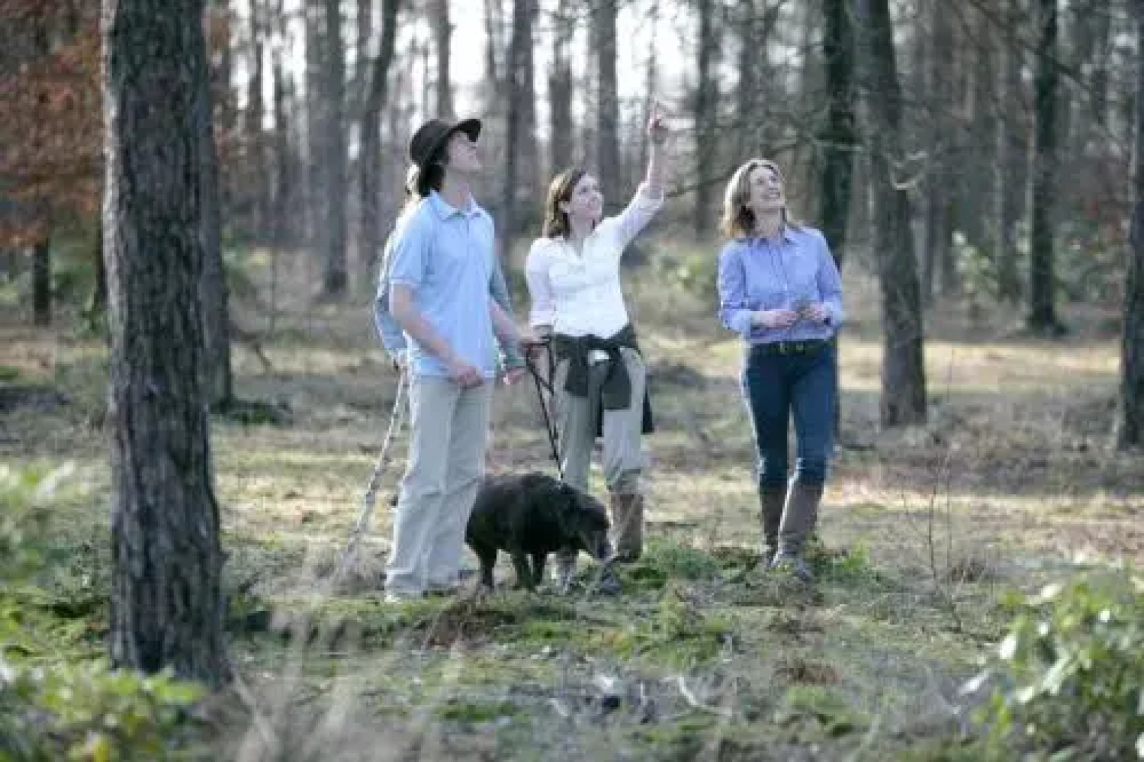 Outdoors Holten