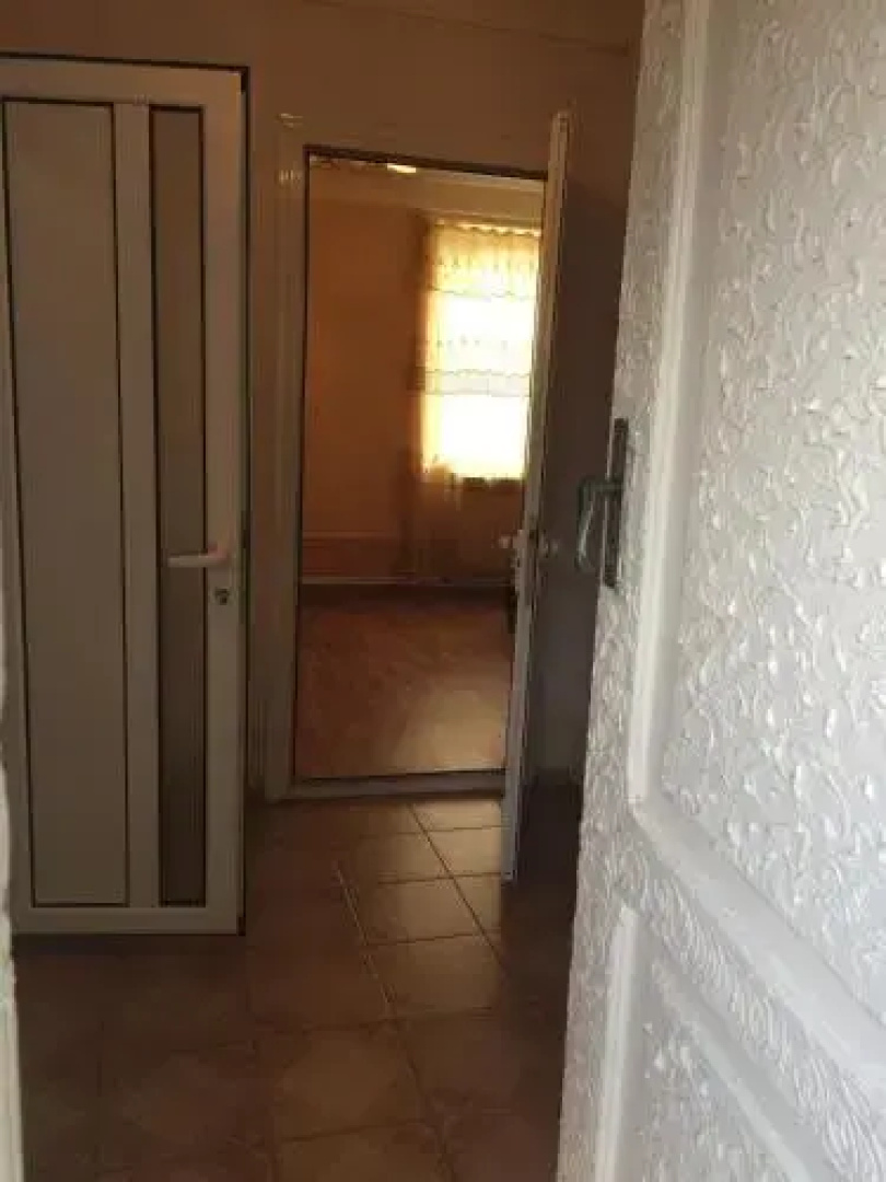 Hotel Mush