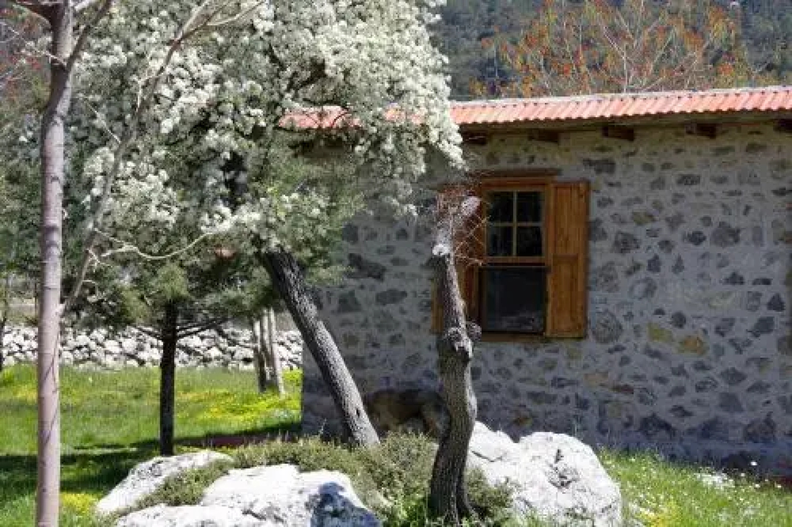 Blacktree Farm and Cottages